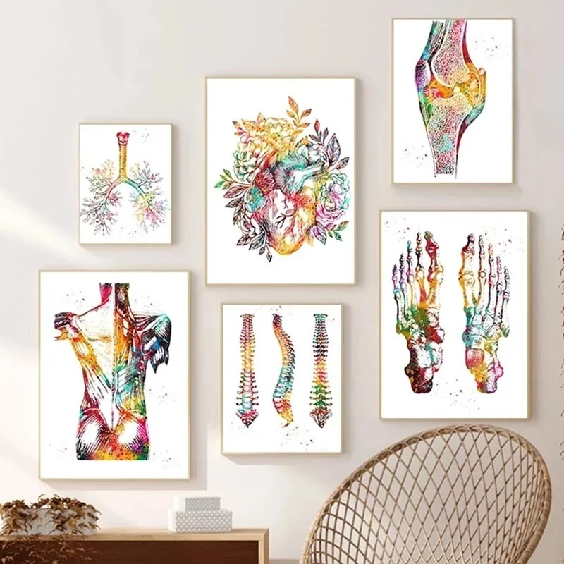 

Human Anatomy Muscles System Coloful Wall Art Canvas Painting Posters and Prints Body Map Wall Pictures Medical Home Decor