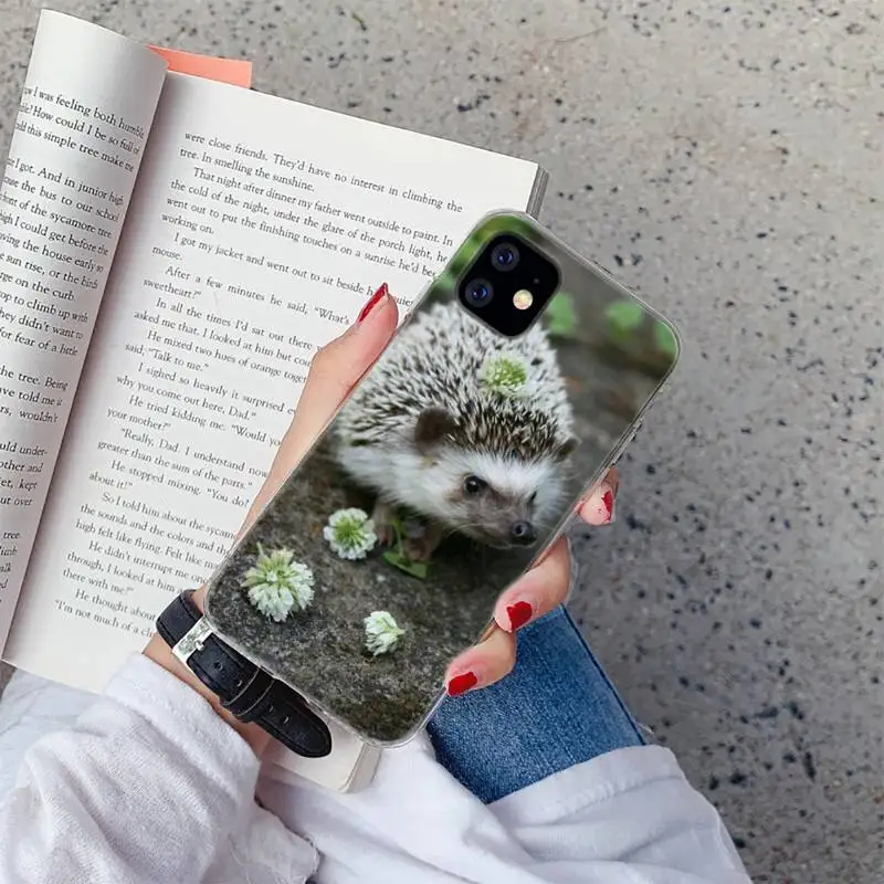 

animal Hedgehog Phone Case For iphone 12 5 5s 5c se 6 6s 7 8 plus x xs xr 11 pro max mini