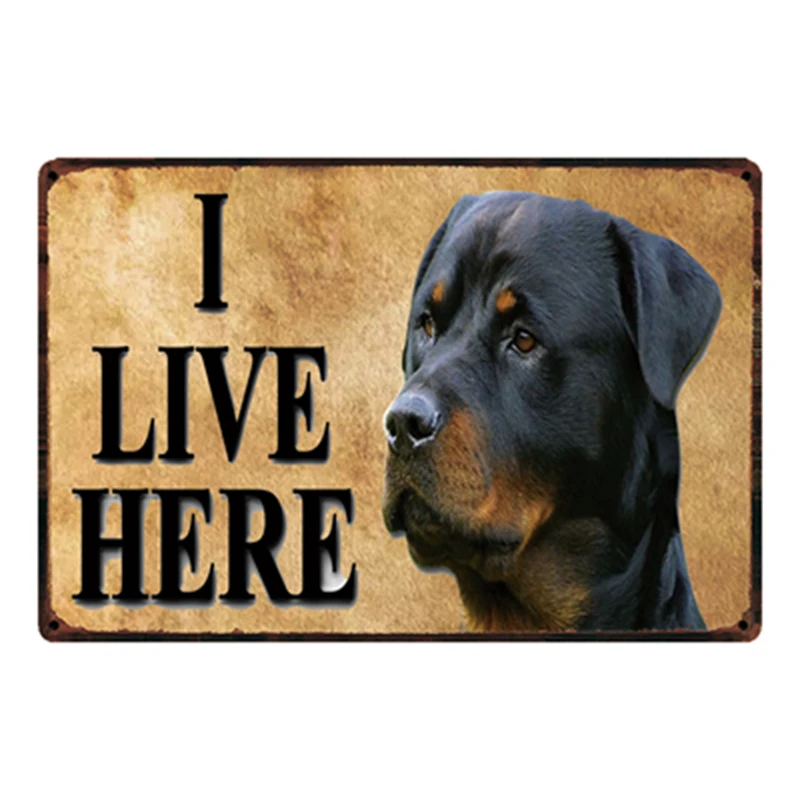 

[ Kelly66 ] Dogs I Live Here Metal Sign Tin Poster Home Decor Bar Wall Art Painting 20*30 CM Size y-2115