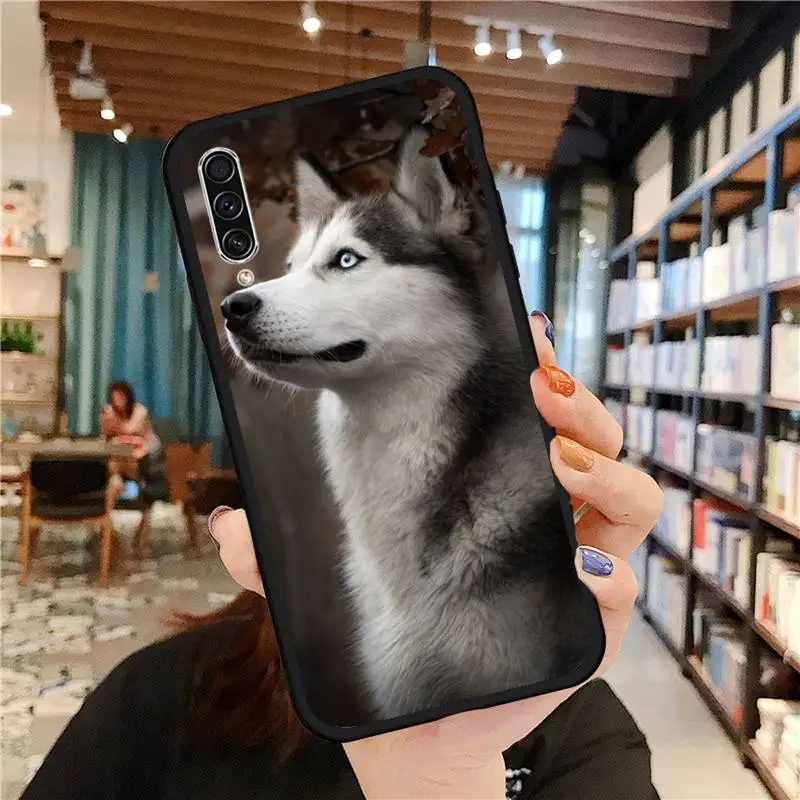 

husky cute animal dog Phone Case For Samsung galaxy A S note 10 7 8 9 20 30 31 40 50 51 70 71 21 s ultra plus