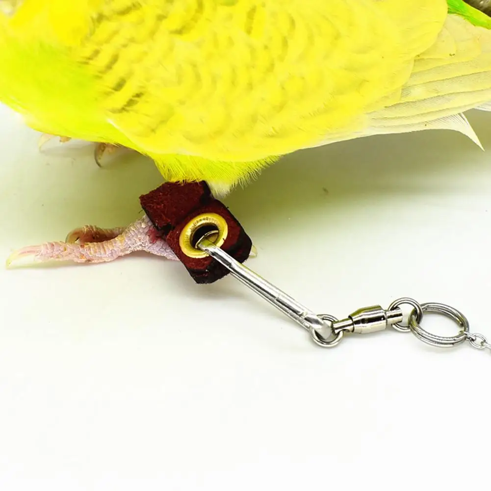 5 размеров 2 цвета Pet Parrot Leg Ring цепочка на лодыжку птица кольцо открытый Летающий обучение открытие активности нашест для птиц аксессуары