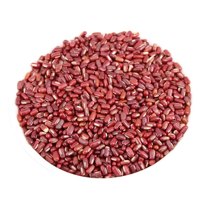 Красные фасоли адзуки Hong Xiao Dou маленькие красные | Красота и здоровье