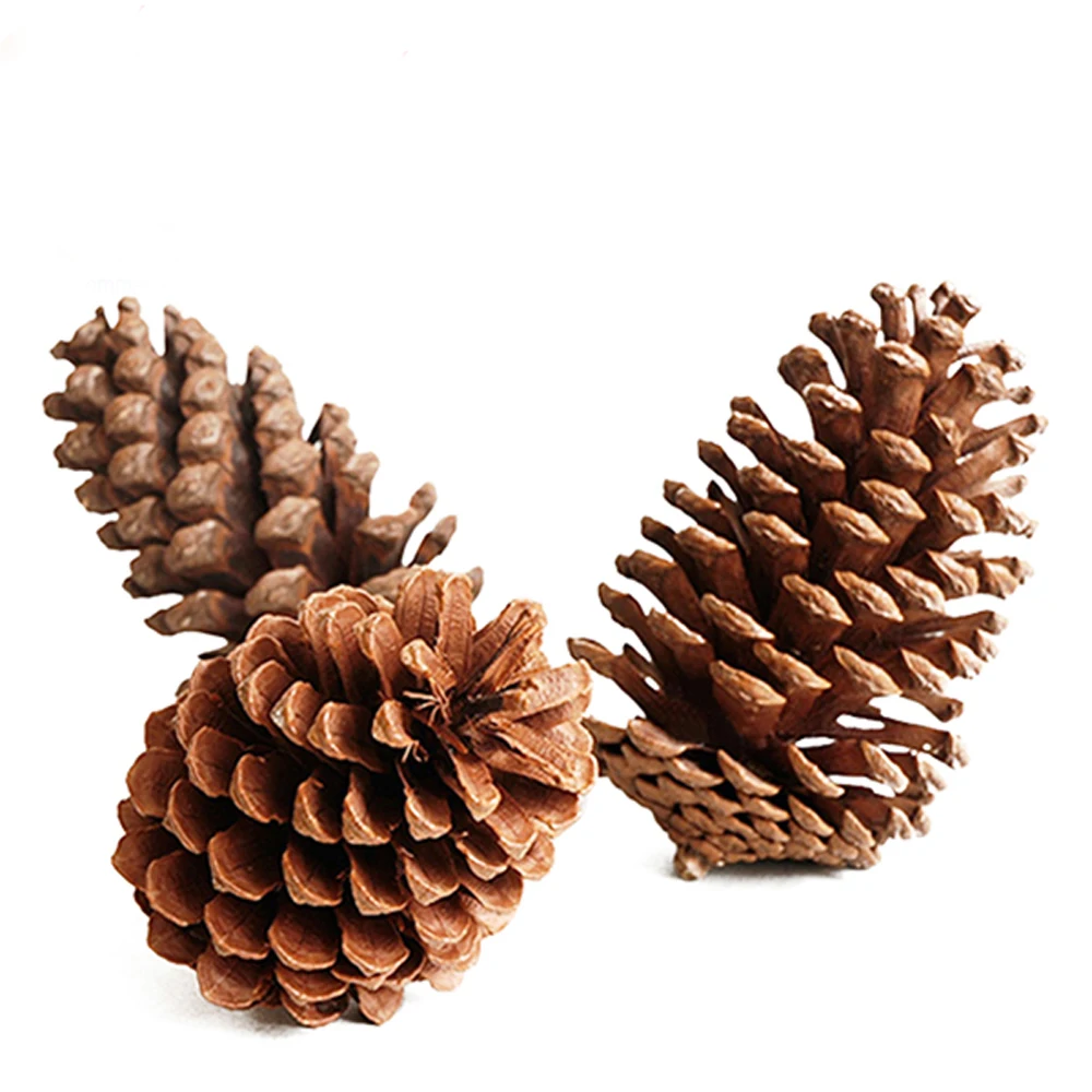 4 шт. 10-14 см большой размер натуральные рождественские украшения большие сосновые