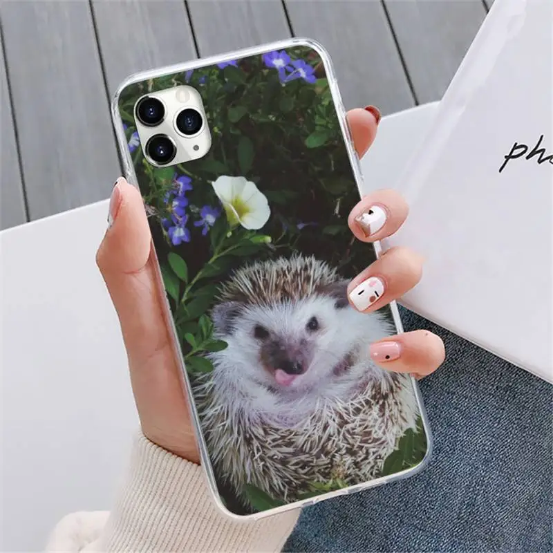 

Hedgehog Phone Cases For iphone 12 5 5s 5c se 6 6s 7 8 plus x xs xr 11 pro max mini