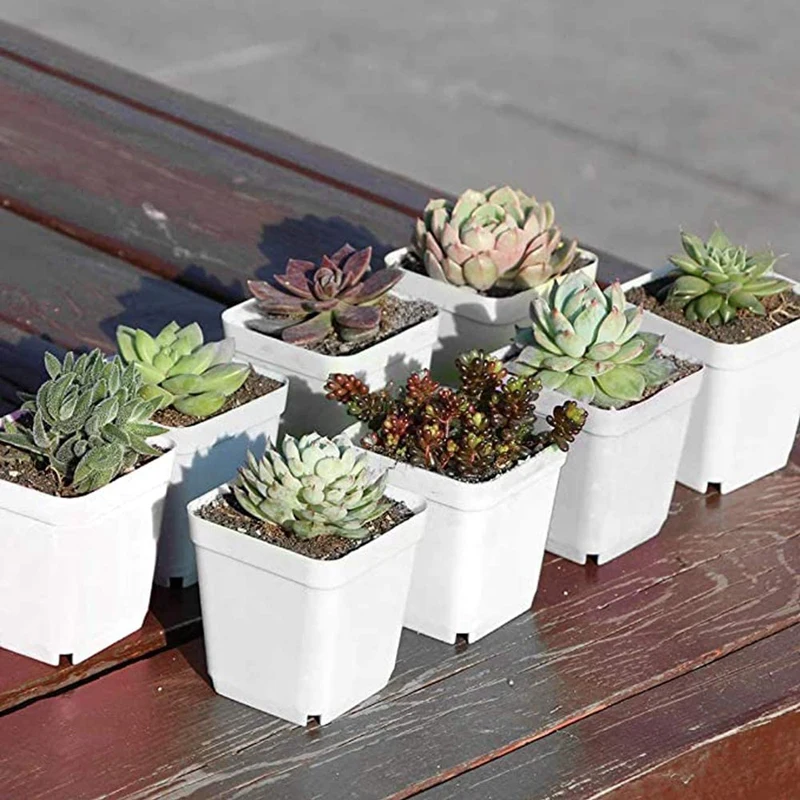 50 Pack 2.7Inch White Square Plastic Plant Pots with Saucer Seedling Nursery Transplanting Planter Container for Garden | Дом и сад