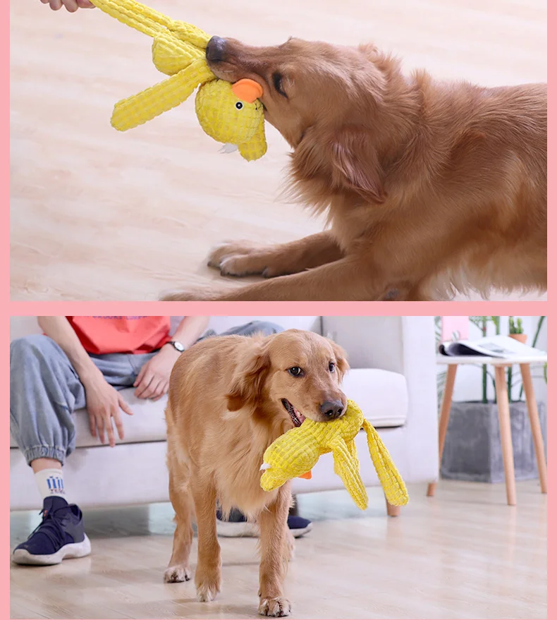 

Dog Plush Interactive Squeaky Toys Pet Small Dog Puppies Molar Toy Funny Dog Toy Pet Puppy Plush Squeaker Squeaky Toys Pet Chew