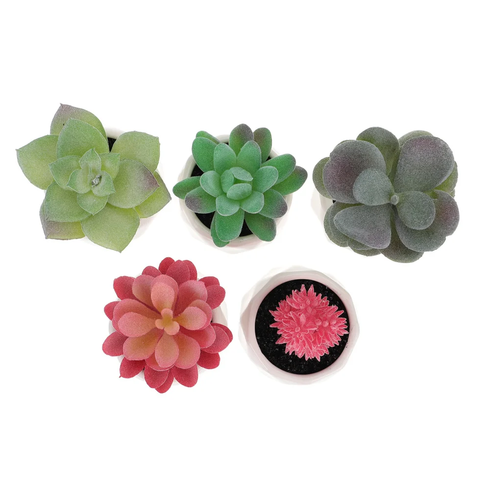 

5pcs Artificial Plant Decors Fake Succulent Plants Desktop Adornments Ornaments