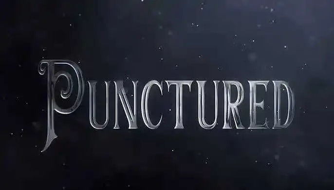 

2020 Punctured by Eric Bedard