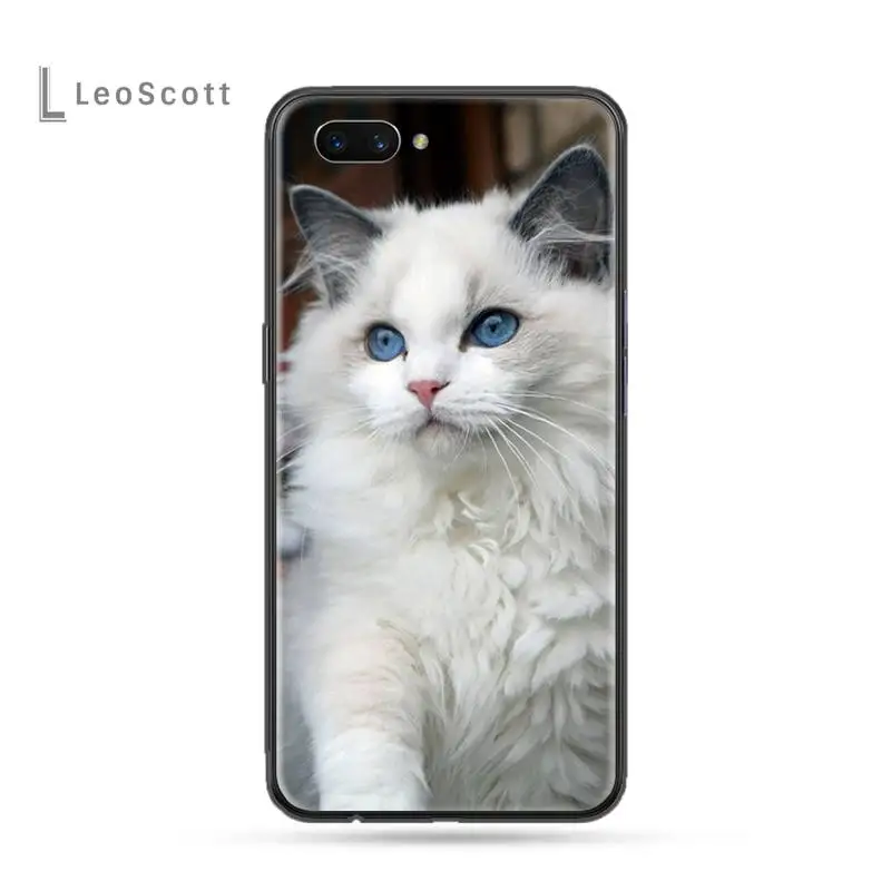 

eye funny lovely ragdoll cat Phone Case For OPPO F 1S 7 9 K1 A77 F3 RENO F11 A5 A9 2020 A73S R15 REALME PRO