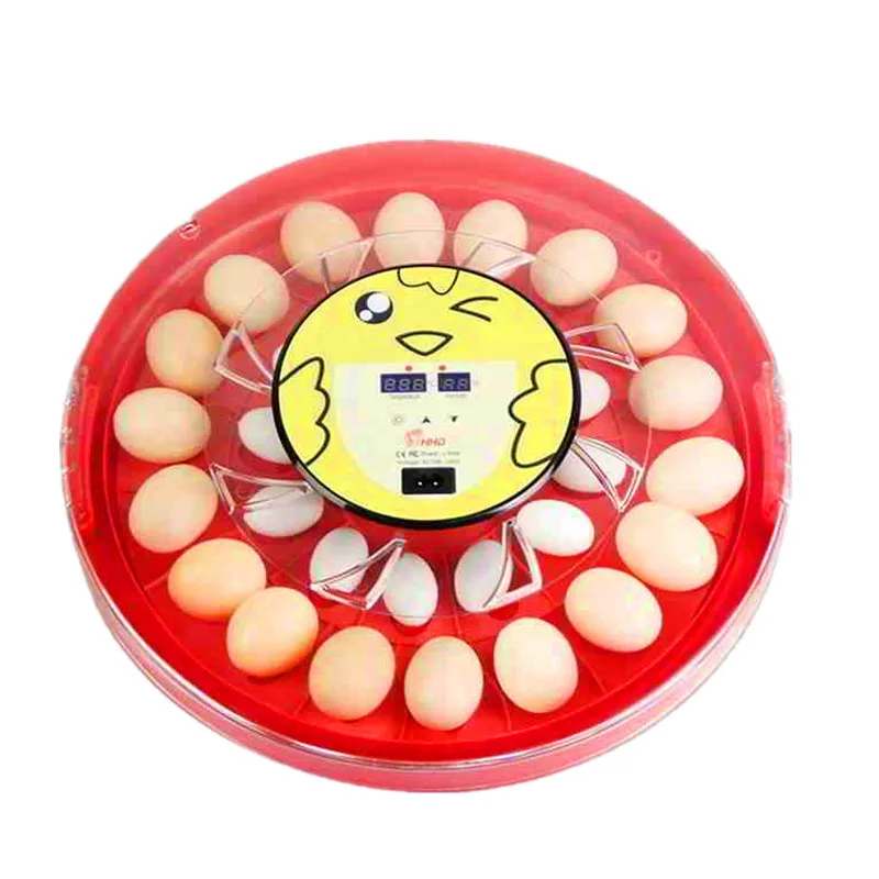 Инкубатор 1056 | Канцтовары для офиса и дома