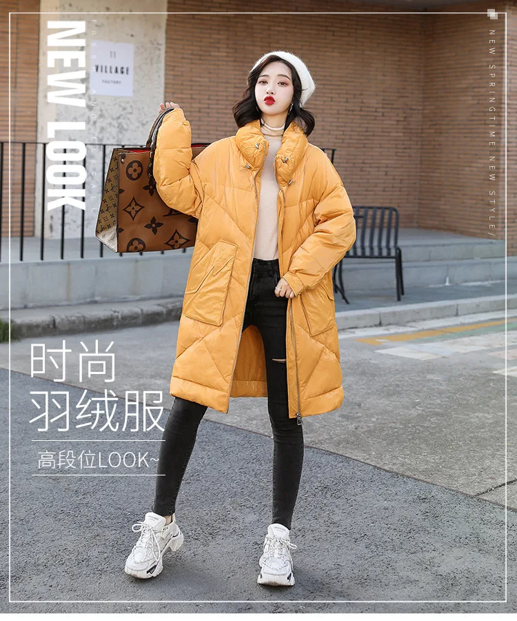 Babylovi/Новинка года; зимние длинные свободные пуховики; Свободное пальто со стоячим воротником для студентов; теплые пуховые куртки с хлопковой подкладкой для женщин