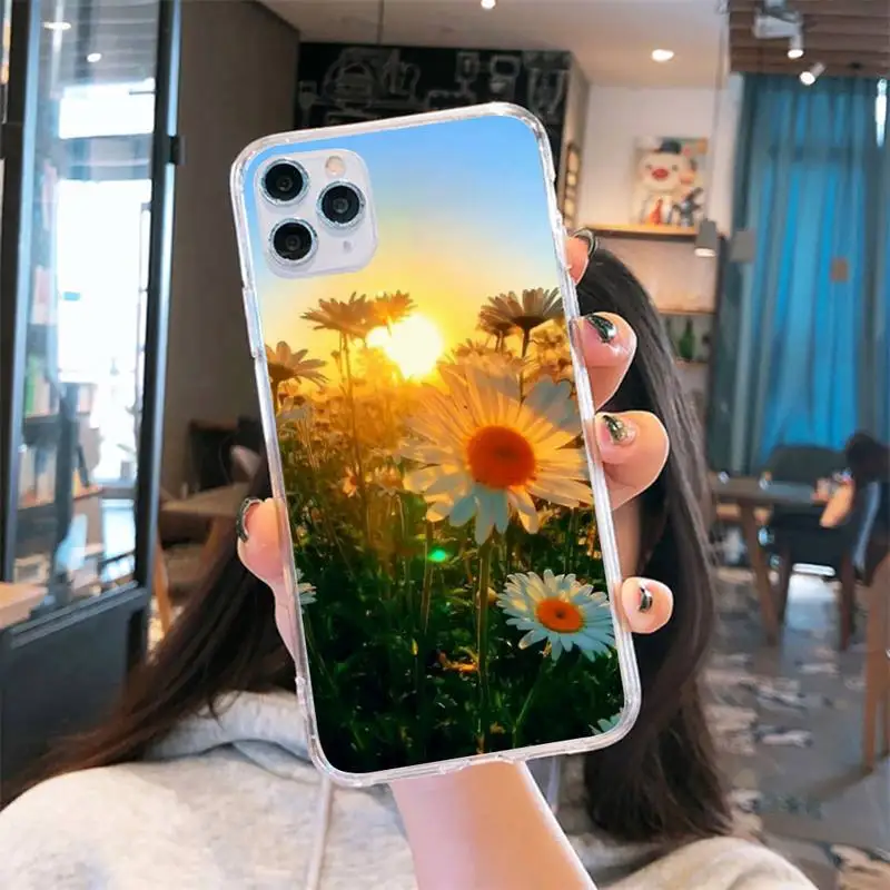 

Sunflower flower plant Phone Case Transparent for iPhone 6 7 8 11 12 s mini pro X XS XR MAX Plus
