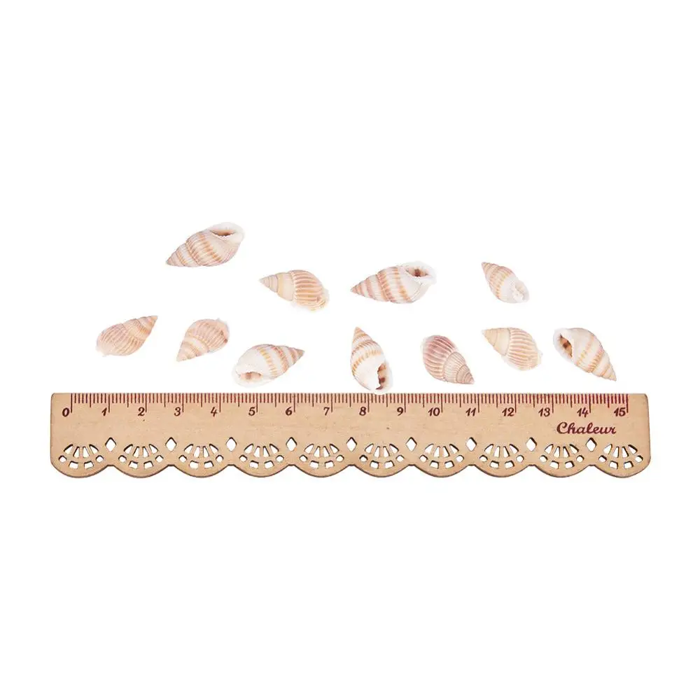 

Natural Conch Charms Pendants For Jewelry Making 1 Hole Shell Charm DIY Jewelry Accessories Wholesale 200pcs/pack~220pcs/pack