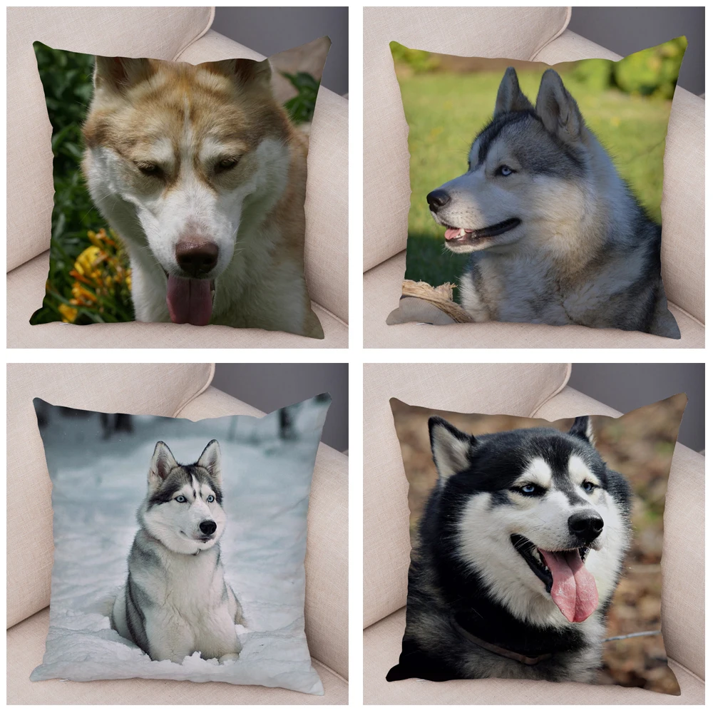 

Cute Pet Animal Printed Cushion Cover for Sofa Home Super Soft Plush Decor Siberian Husky Dog Pillow Case 45*45cm Covers