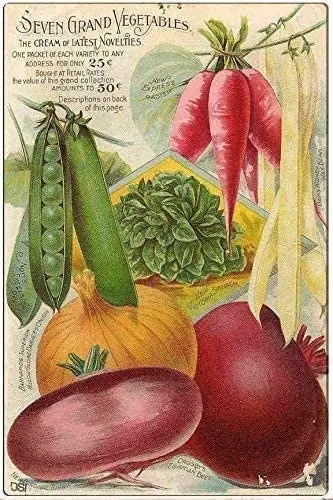 

Kean Seven Grand Vegetables Metal Tin Signs Wall Decor Home Farm Suppermarket 8" X 12"Inch