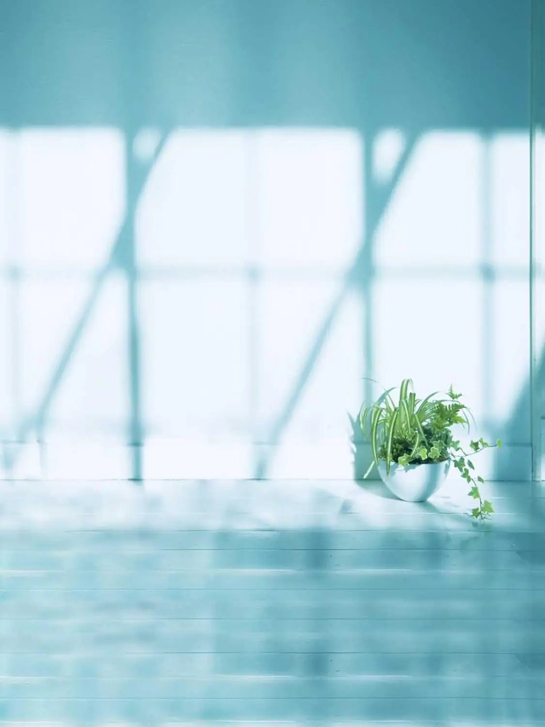 Туманный фон Виниловый для фотосъемки с изображением платья и французского окна