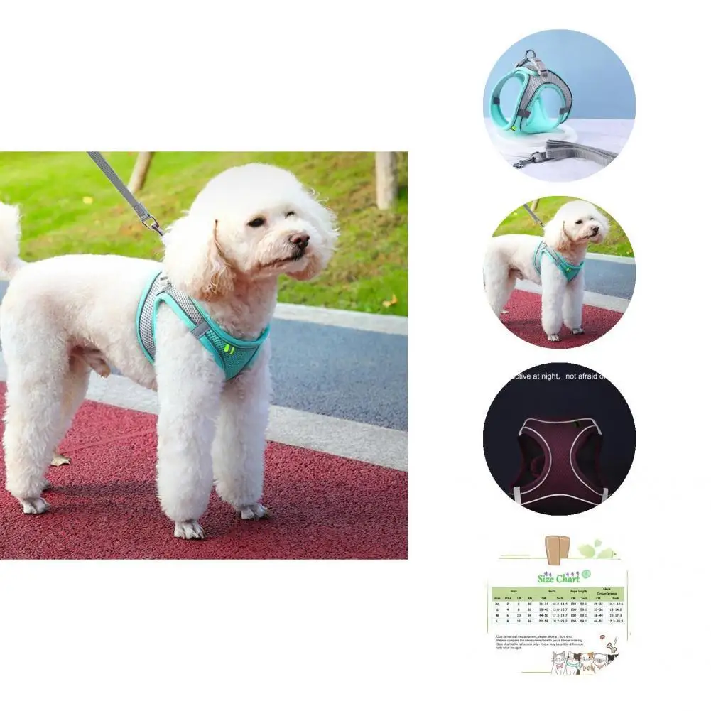 

Fashion Stylish Walking Dog Traction Harnesses Traction Tool Pet Chest Strap Adjustable Buckles Pet Accessories