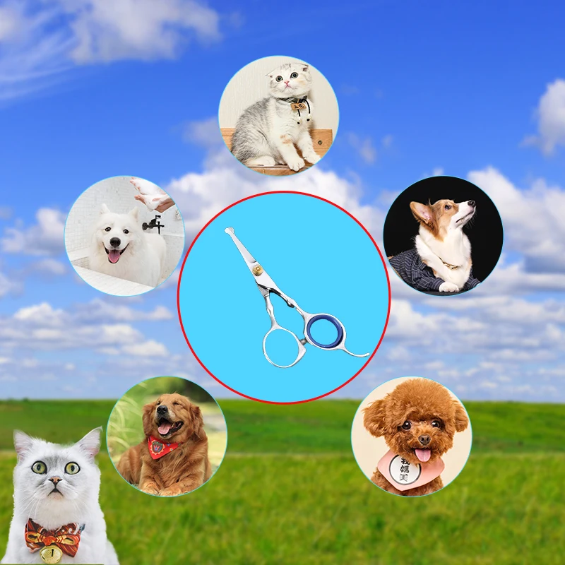 

4.5 inch 1pc Pet Dog Safety Rounded Tips Scissor Grooming Thinning Shears Sharp Edge Animal Hair Cutting Tool Pet Grooming Tool
