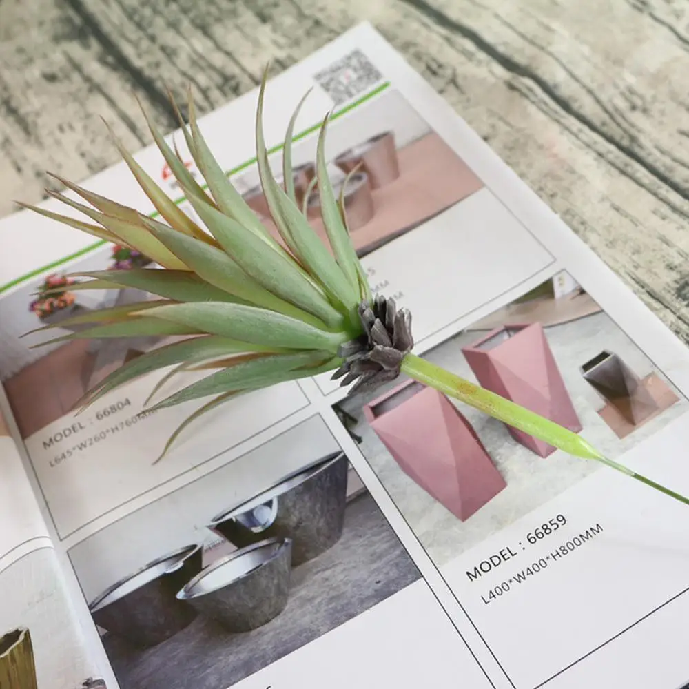 Зеленый розовый желтый Зебра алоэ искусственные суккуленты для дома растения DIY