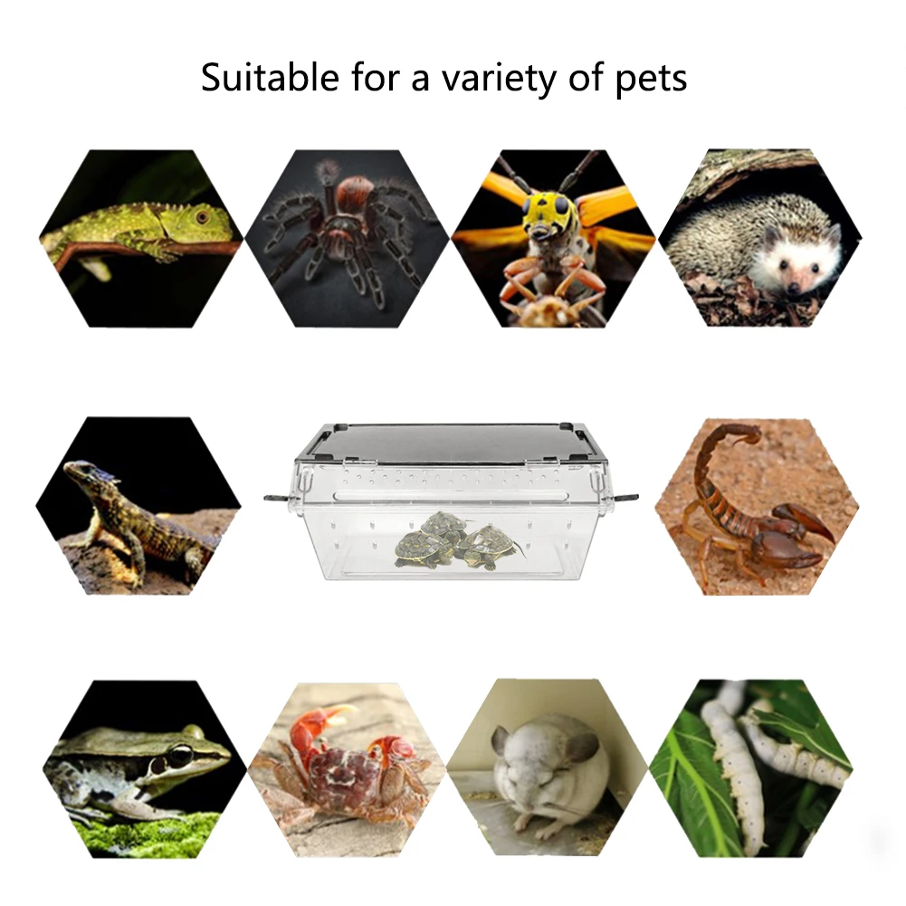 

Top selling Reptile Box Reptile Terrarium Durable Transparent Acrylic Breeding Animals Insect Live Food Feeding Box vividly
