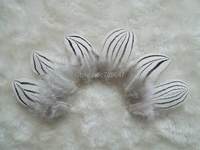 200pcslot4 5cm small plumassilver pheasant body plumage feathersloose plume for millinersfascinatorsfly tie fisherman