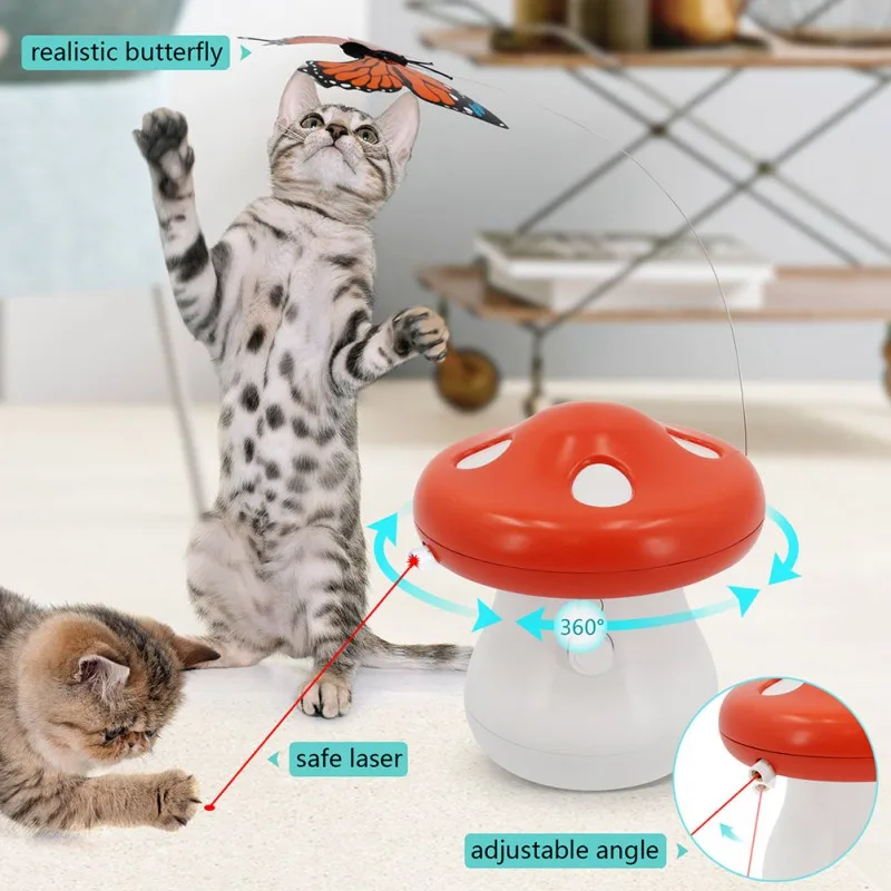 

Pet Products