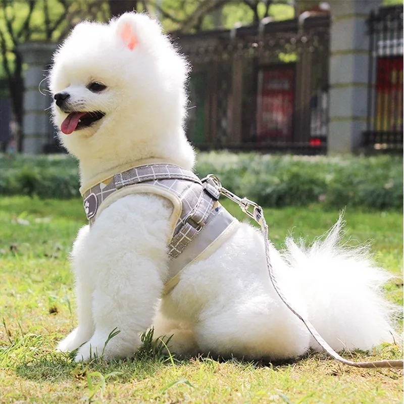 Benepaw дышащий плед маленькая собака жгут поводок набор легкая сетка мягкий поводок для домашних животных для маленьких средних собака Кот Щенок продукты