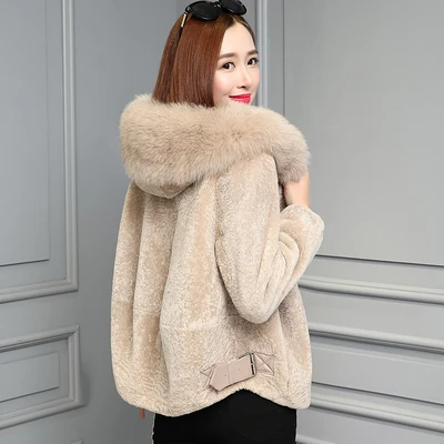

Sheep Lamb Womens Jackets And Coats 2020 Bat Sleeved Doudoune Femme Woolen Overcoat Casual Casaco Feminino Outwear Clothes