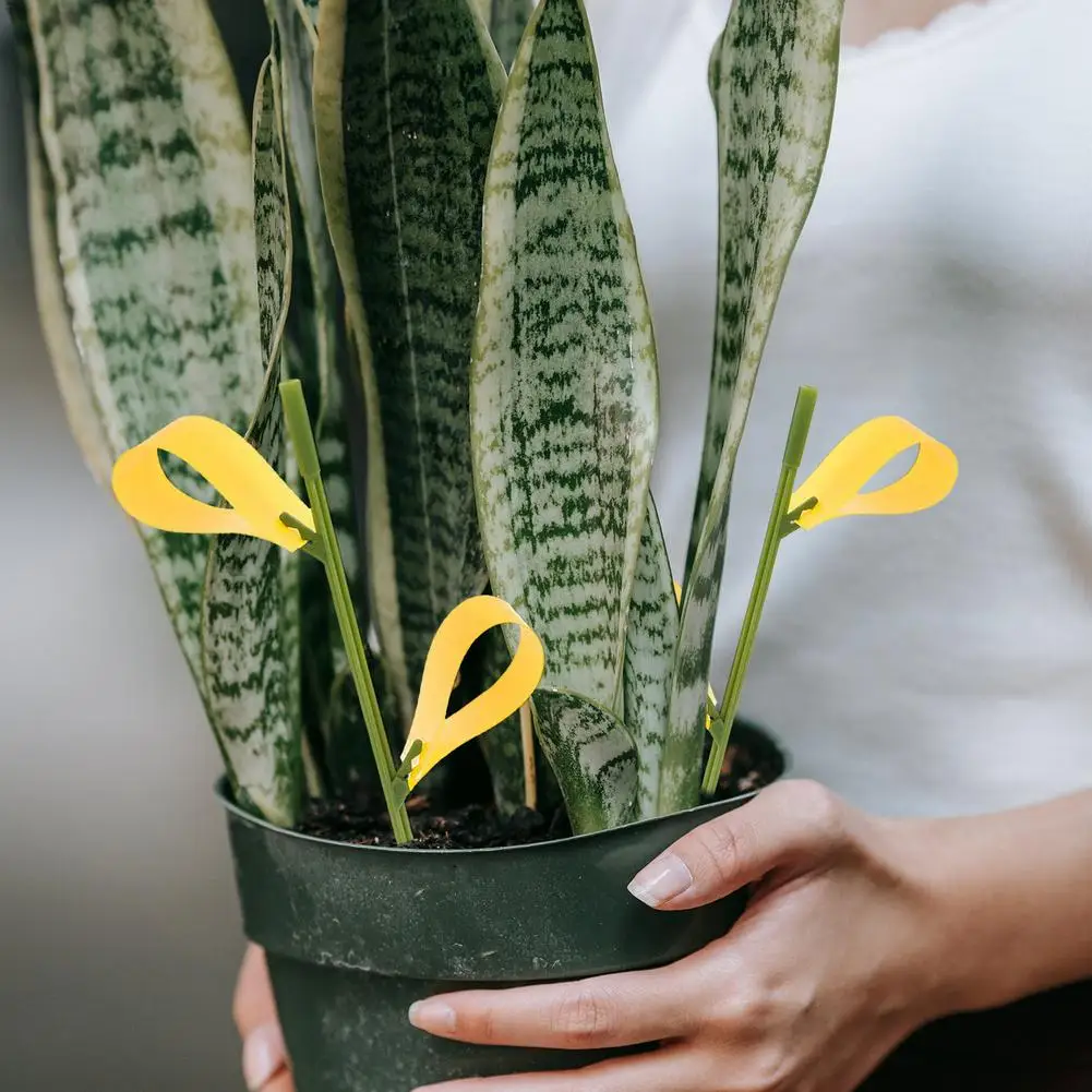 Ловушка для фруктов и мух липкая приманка комнатных растений водонепроницаемый