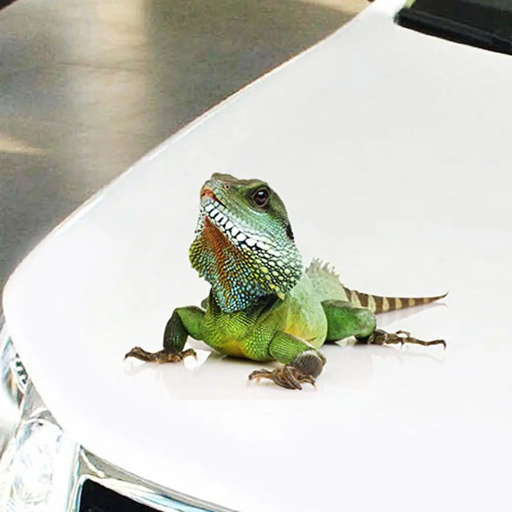 

3D Car Sticker Animals Vinyl Windows Trucks Motorcycle Lizard Butterfly Spider Scorpion Sticker Auto Decal PVC Accessories
