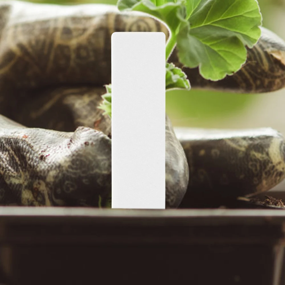 Этикетки для комнатных растений 100 шт. * 5 см бирка с именем бонсая пластиковые