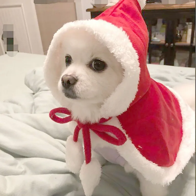 Костюм для домашних животных модные шали кошек щенков аксессуары собак