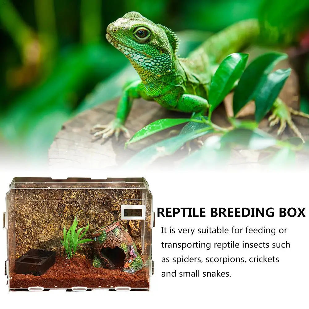 Acrylic Reptile Feeding Box Insect Lizard Spider Breeding Cage Hatching Container All-round Transparent |