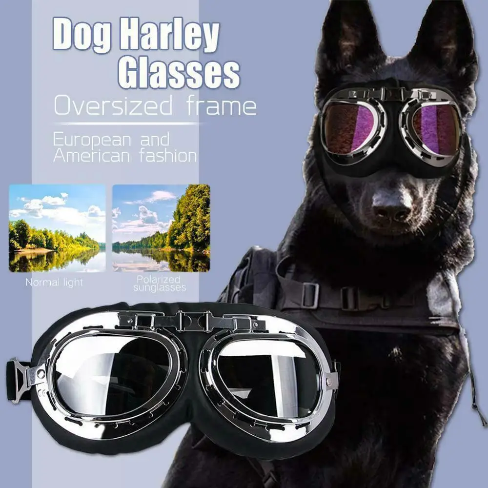 

Dog Sunglasses Windproof Anti-breaking Sunglasses Pet Goggles Eye Wear Protection Goggles Sun-resistant Dog Glasses Accessaries