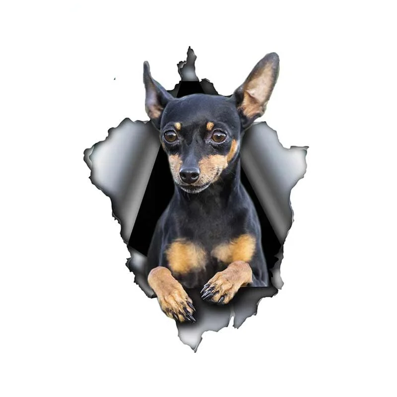 

Beautiful Pinscher Dog Car Sticker Torn Metal Decal Waterproof 3D Car Decals Reflective Vinyl Pet Dog Stickers KK13*10cm