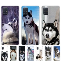 silicon phone cover case for samsung galaxy a51 a31 a41 a71 a01 a81 a91 a30s a20s a50s m30s m40s coque husky puppy dog cute