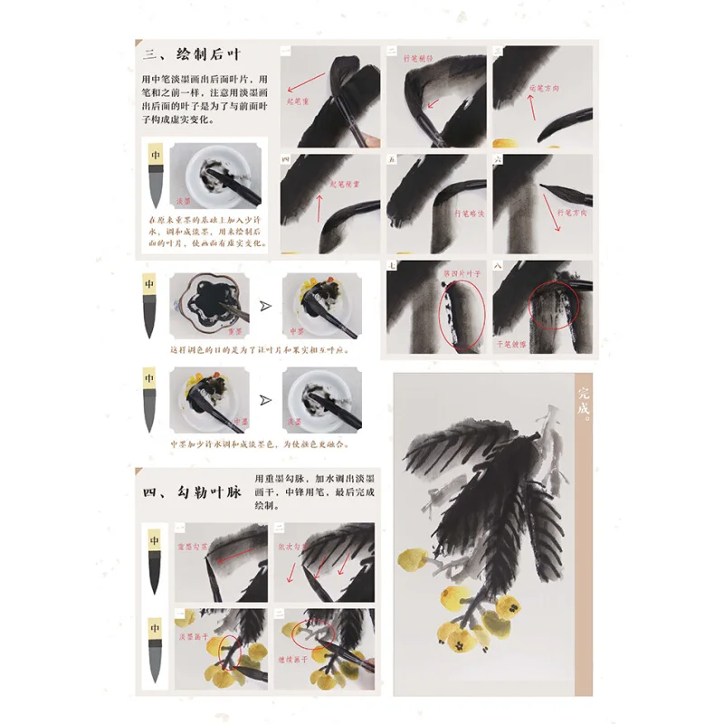 

Leanring Chinese Painting Book For Beginner 28.5*21cm,112pages