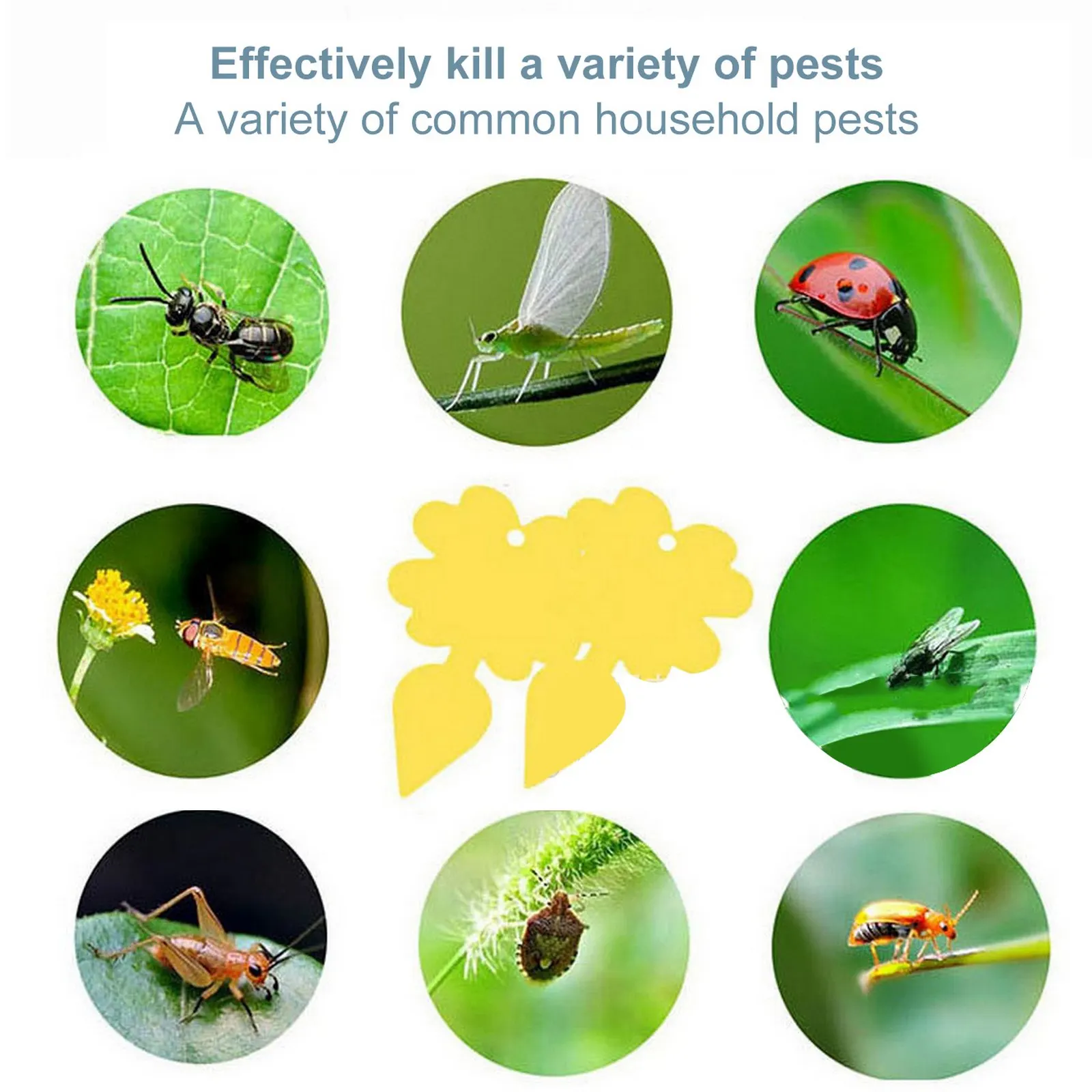 

24/48pcs Sticky Insect Board Fruit Fly Traps Indoor Sticky Glue Gnat Trap Flying Sticker Kitchen House Outdoor Plant Fly Paper