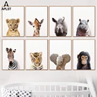 Картина для детской комнаты в стиле сафари, слоненок, Зебра, Лев, жираф, настенные художественные плакаты, обезьяна, бегемотик