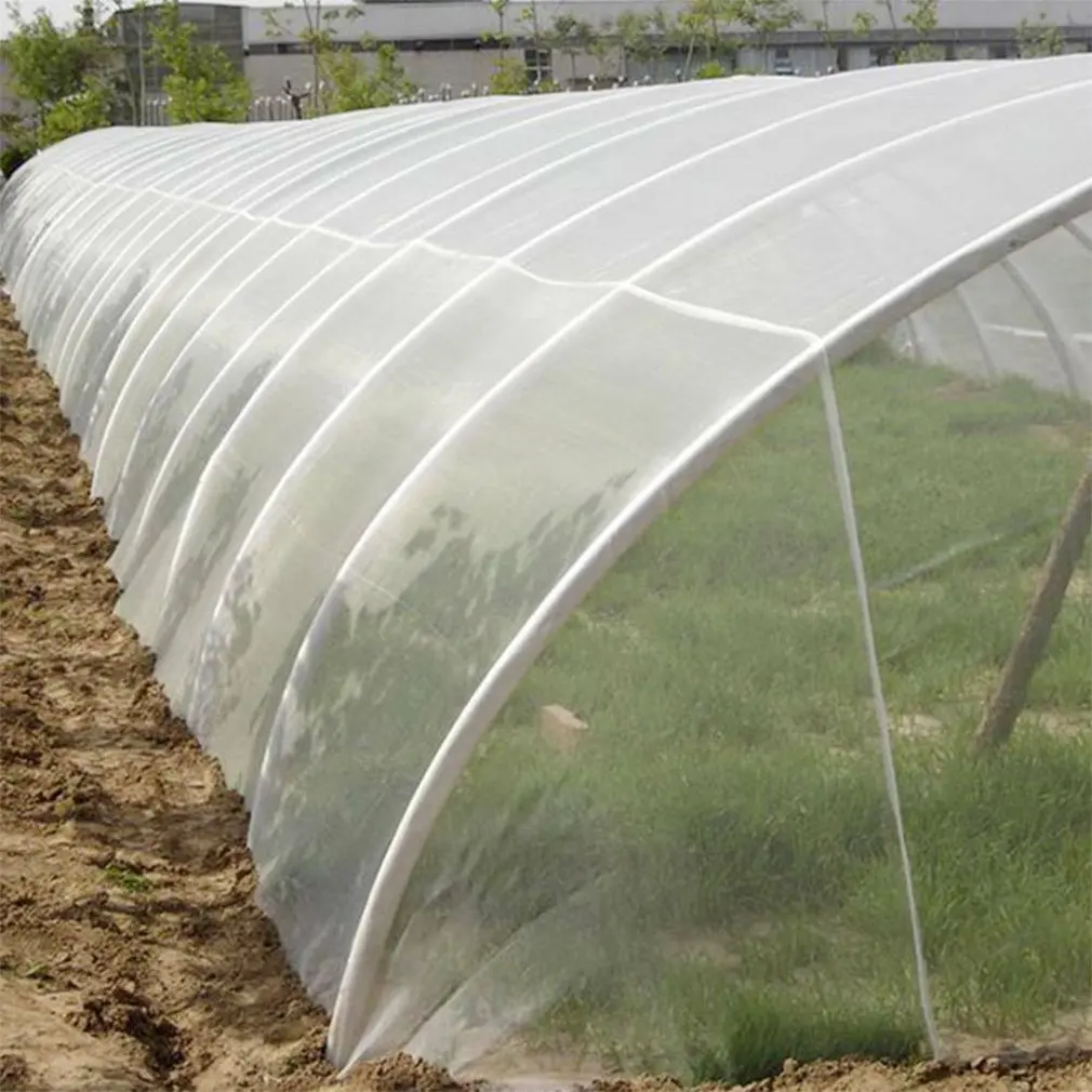 

High-density Polyethylene Practical Garden Netting Crops Plant Protect Mesh Bird Net Insect Animal Vegetables