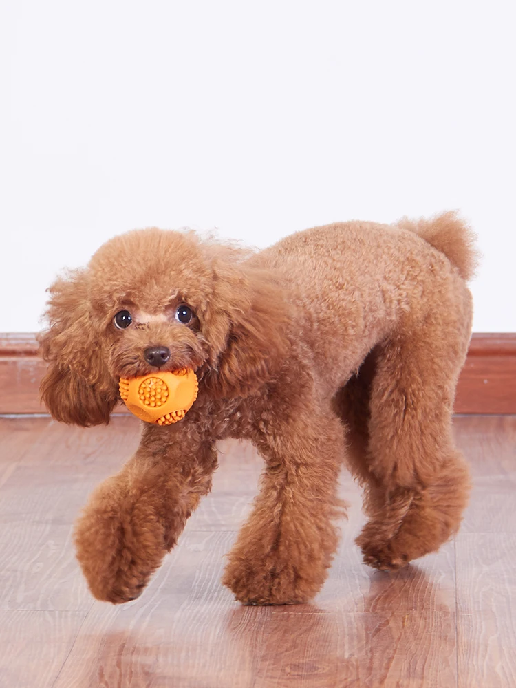 Собаки собаки игрушки грызуны щенки плюшевые лабрадоры дрессировка вокала