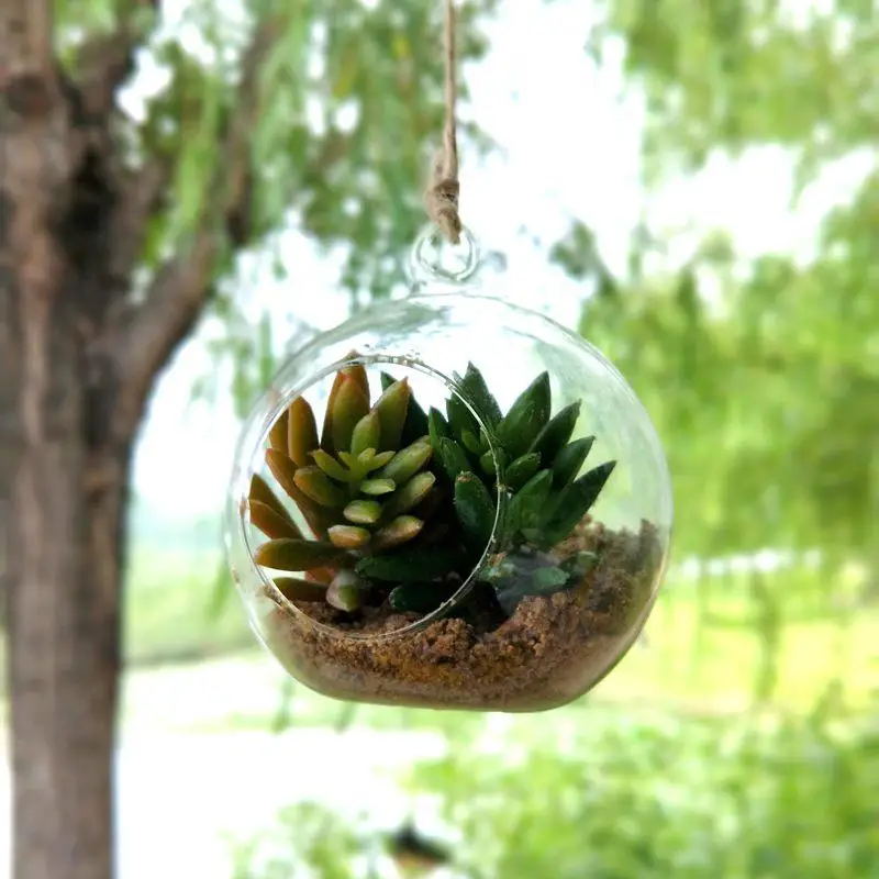 

10 cm Creative Hanging Glass Vase Succulent Air Plant Display Terrarium,Decorative Clear Glass Globe, Hanging Air Plant Terrariu
