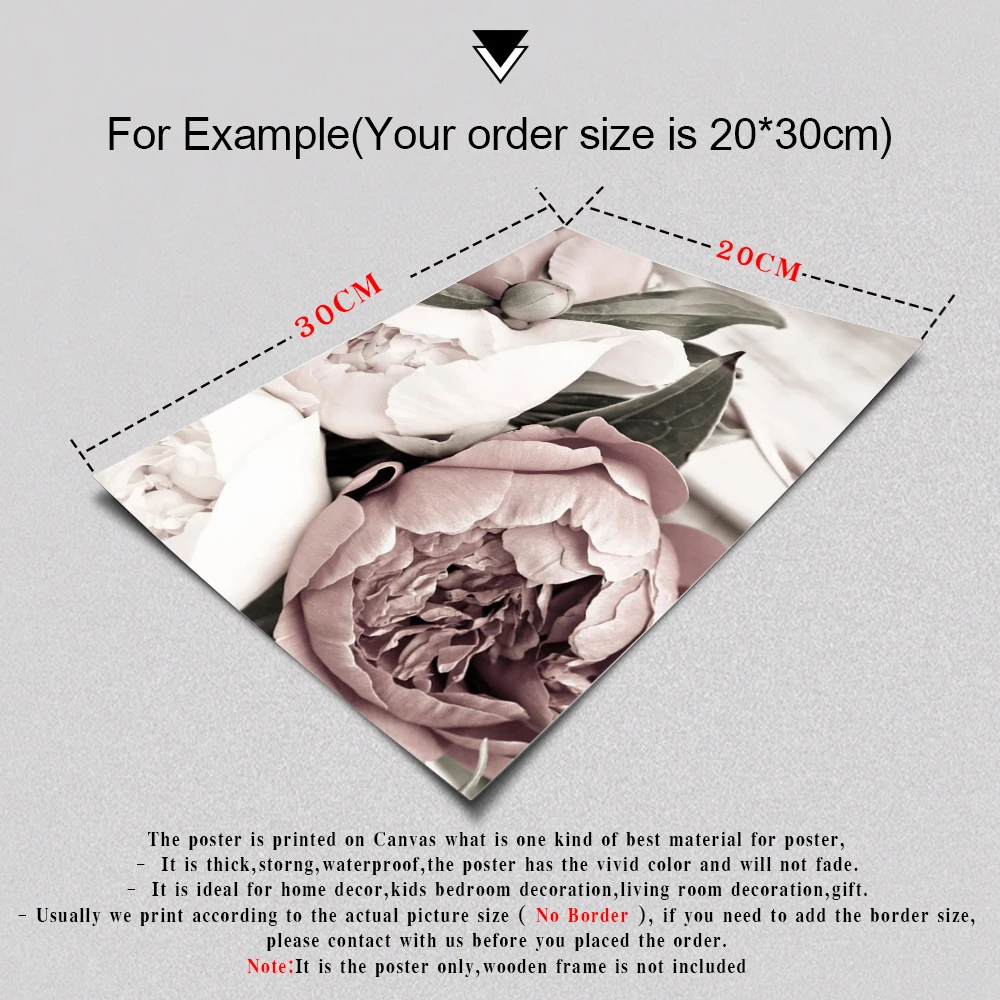 

Decoracion Hogar Moderno Blush Peony Flower Poster Canvas Print Wall Art Posters and Prints Wall Picture For Living Room Decor