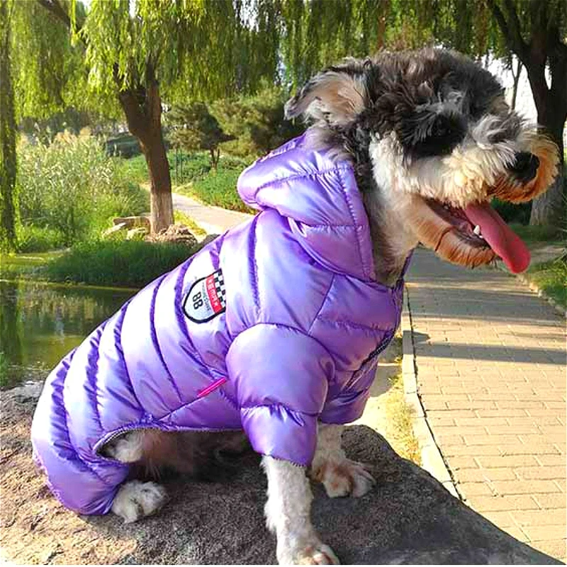 

2020 Winter Windproof Pet Dog Clothes Puppy Light-weight 4 Legs Hoodie Coat Warm Down Jacket Outfit Costume Big Combinaison Ski