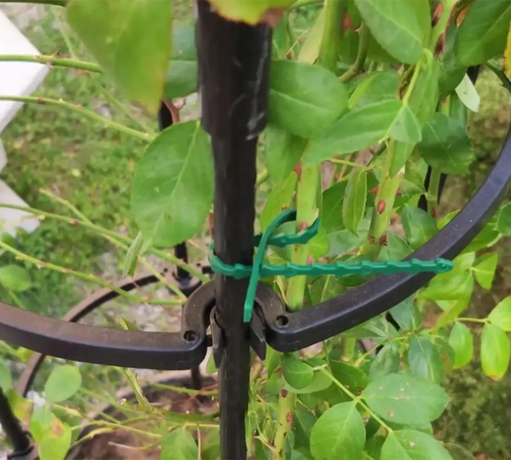 50 шт. регулируемые пластиковые кабельные стяжки для растений садовые