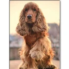 Алмазная живопись в британском стиле кокер-спаниель, полноразмерная квадратная круглая Алмазная мозаика 5D для домашних животных, алмазная вышивка, украшение Стразы