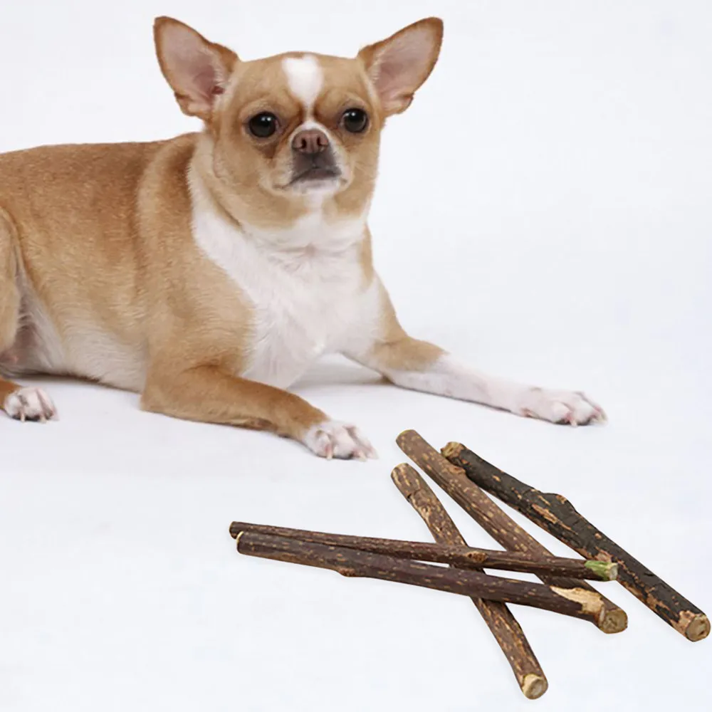 10 шт. Apple дерева жевать палочки ветки для некрупных домашних животных Кролик