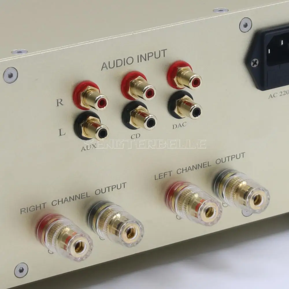Готовый Hi-Fi стерео Встроенный усилитель мощности D5 120 Вт * 2 на основе схемы Dartzeel