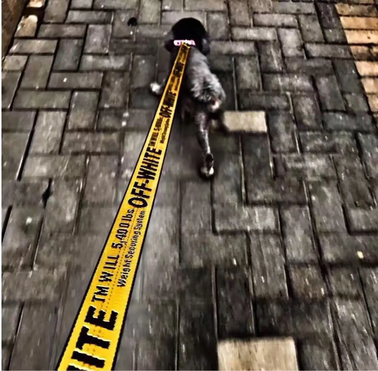 Поводок для домашних животных подходит маленьких собак таких как бульдог