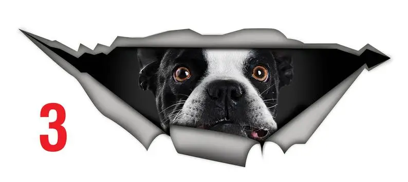 

2021 French Bulldog decal, dog sticker , pet sticker, animal decal, funny bulldog sticker